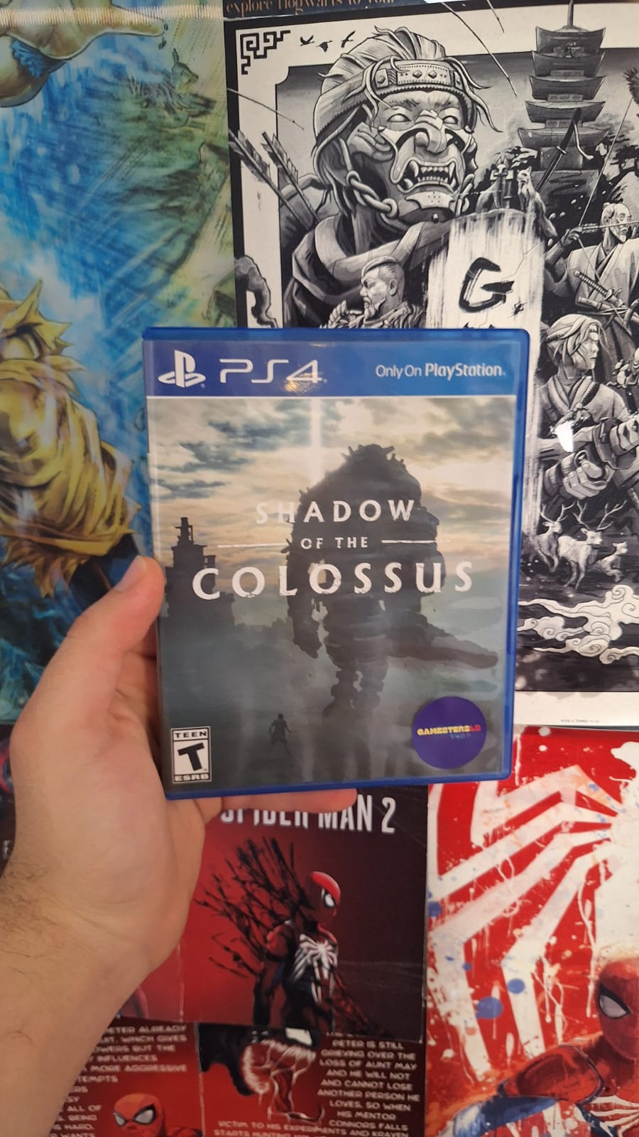 Shadow Of Colossus (Used)