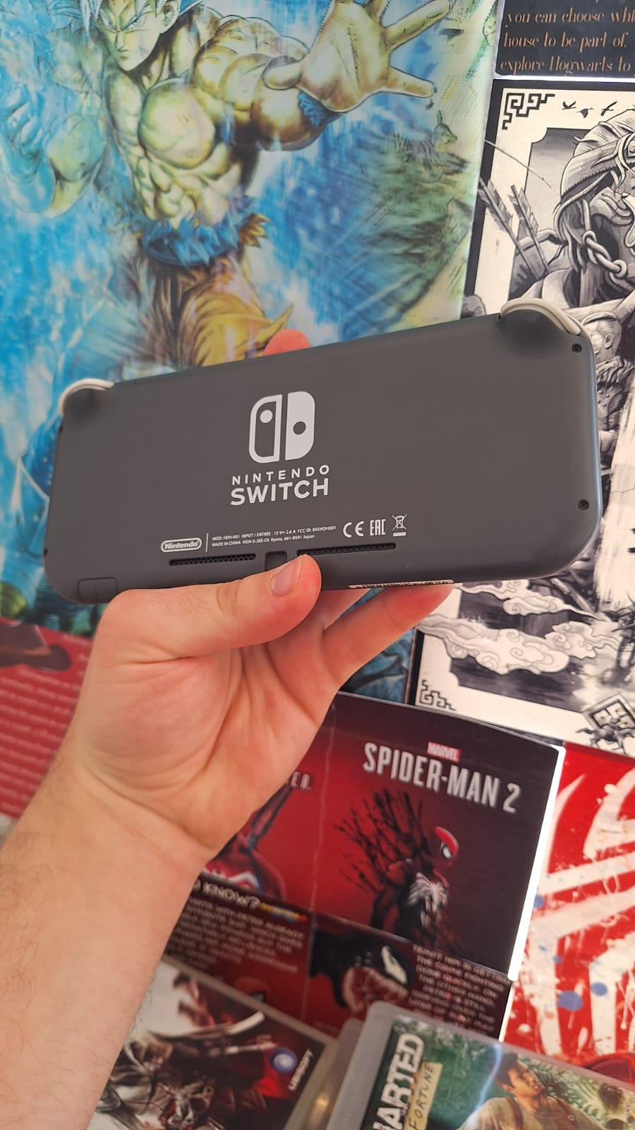 Nintendo Switch Light (Used)